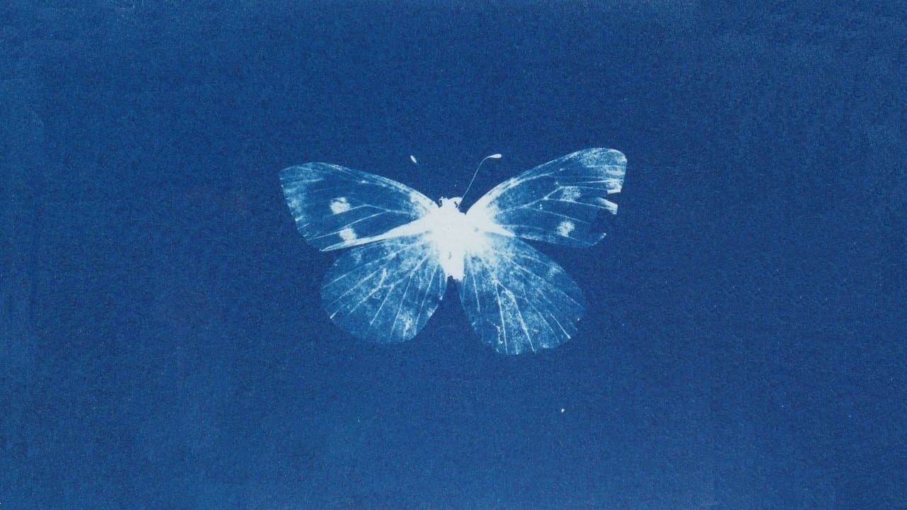 The Butterfly Effect